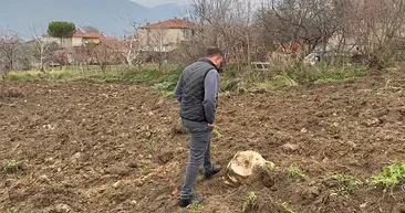 Tarla sürerken çiftçinin pulluğuna takıldı! İnsan kemiklerinin yanında...