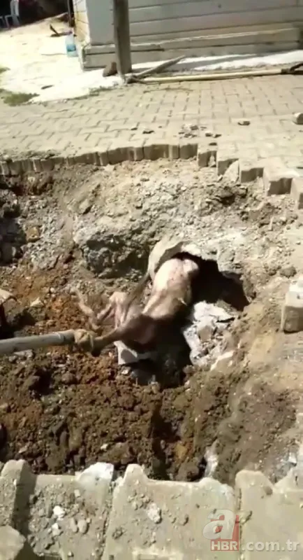 Yer altından gelen garip sesler ekipleri harekete geçirdi! Kanalizasyondan çıkan şoke etti 7