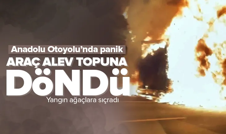 Anadolu Otoyolunda TIR alev topuna döndü