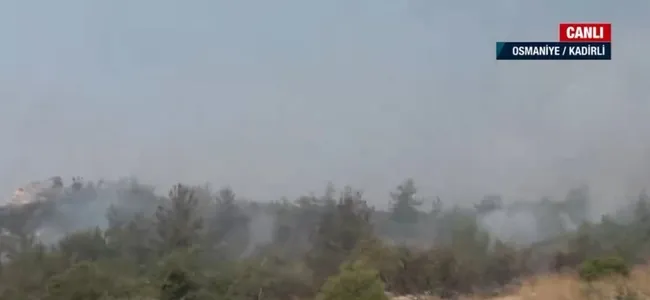 Osmaniye’de orman yangını | Yerleşim yerleri tehdit altında! Ekipler nasıl müdahale ediyor?