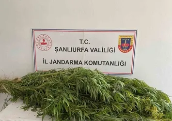 Zehir tacirlerine geçit yok: 2 gözaltı