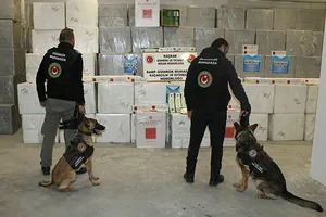 Kaçak sigaralar sınırda yakalandı