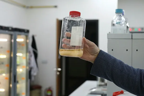 1622655720530.jpg Son dakika: Marmara Denizi'ndeki kirlilik hakkında korkutan açıklamalar! "1 litre atığı kaldıracak gücü kalmadı" - 2