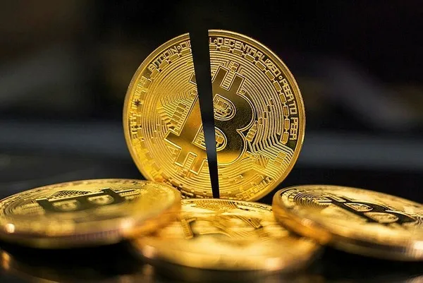 1704099658977.jpeg Bitcoin'de flaş tahmin! Ünlü spekülatör 2024 ve 2025 hedefini açıkladı - 5