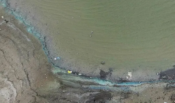 1688116744196.jpeg Sazlıbosna Barajı'nda ürküten manzara! Su renk değiştirdi balıklar ölmeye başladı - 3