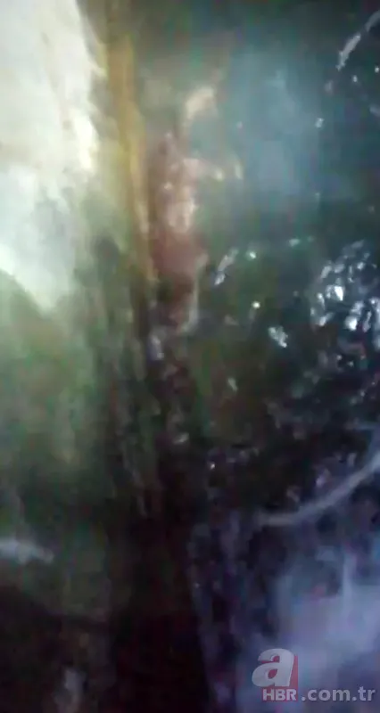 Eğirdir Gölü'nde ortaya çıktı! Kırmızı listede yer alıyor avlanması yasak 1