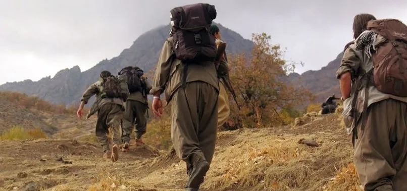 Van'da PKK'ya militan temin eden zanlı yakalandı