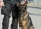 Koronavirüste önemli gelişme!