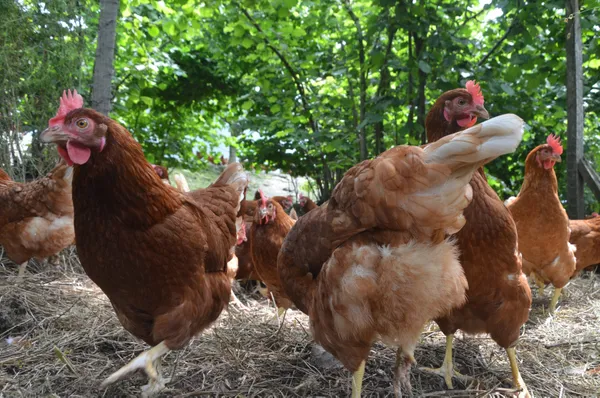 Aldıkları kursla kendi işinin patronu oldular! - 1