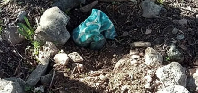Denizli’de bebek gömüldüğü sanılan yerden köpek cesedi çıktı