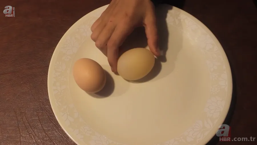 Tavuk kümesine girince gözlerine inanamadı 🥚 Günlük yumurtalarının üstünde adı ve soyadının baş harflerini gördü 🐔 24