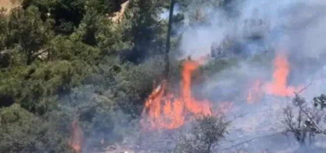 İzmir’de orman yangını! Ekipler müdahaleye başladı