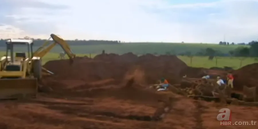 Karınca yuvasından sanat eseri çıktı 🐜 Vahşi doğanın usta mimarları! Otoban, yan yol ve patika bile yapmışlar 18