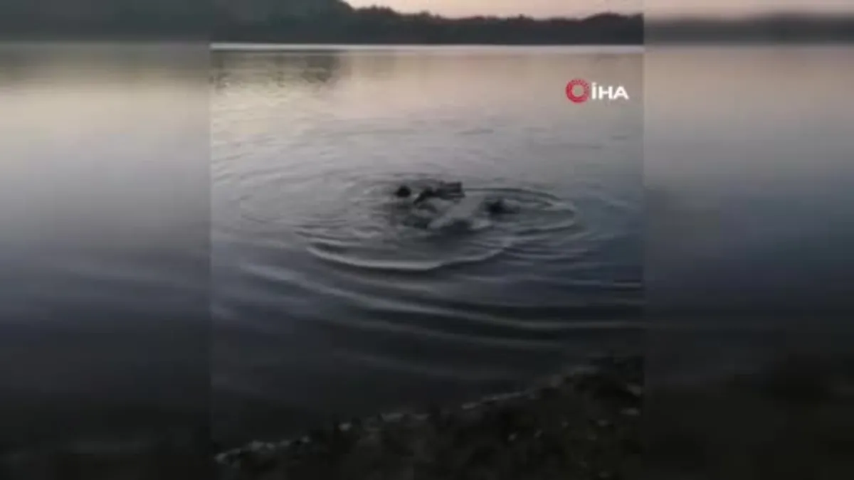 Aracıyla göle düşen şahıs hayatını kaybetti