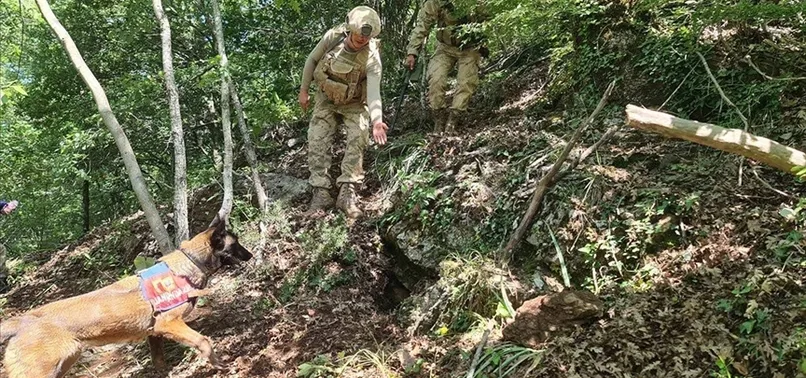 Amanos Dağları kırsalında PKK'ya ait patlayıcılar ele geçirildi
