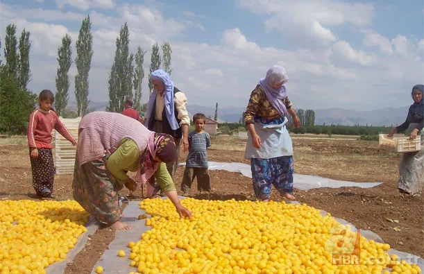 Mevsimlik işçiler kıdem tazminatı alabilir mi? Kıdem tazminatı nasıl hesaplanır? 19