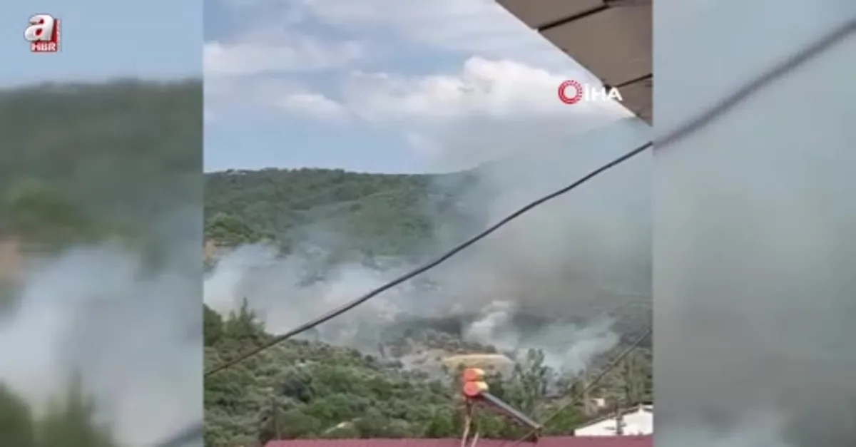Menteşe’de zeytinlik alanda yangın