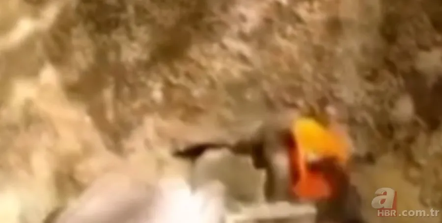 ''Defineyi koruyan yılan'' efsanesi gerçek oldu! Taş kesilmiş yılanın hikayesi ürküttü 6