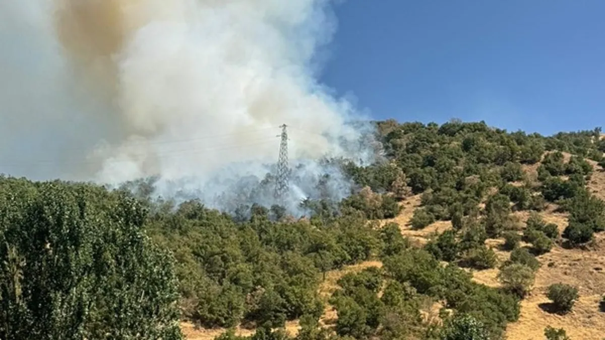 Hakkari'de ağaçlık alanda yangın! Ekipler söndürdü