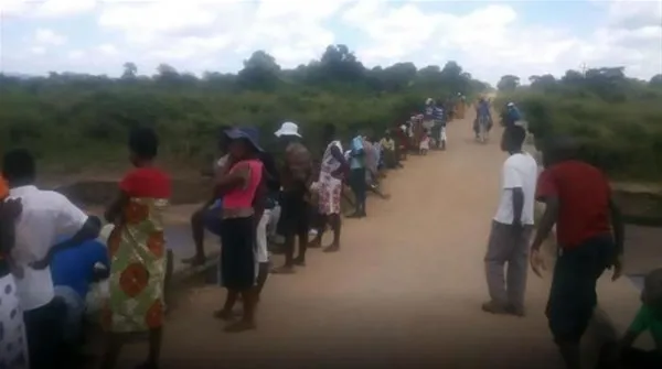 Akıllara durgunluk veren olay! Timsahın karnından çıkanlar Åok etti