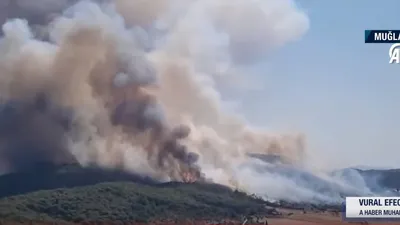 Muğla Milas’ta alevlerle mücadele