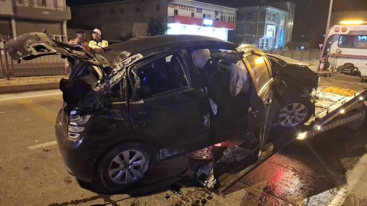 Köpeğe çarpmamak için kaza yaptılar!