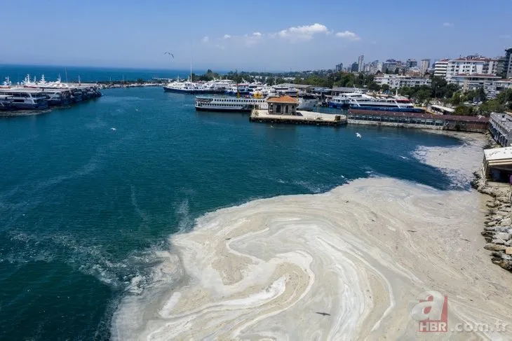 Marmara Denizi öldü: İstavrit, lüfer, palamut hasta! Müsilajdan kurtulmak mümkün mü?