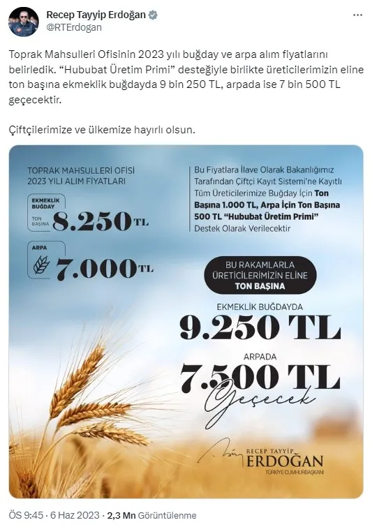 BUĞDAY VE ARPA FİYATLARI 2023! Arpa ve buğday alım fiyatları ne kadar, kaç TL oldu? TMO 1 ton buğday taban fiyatı...