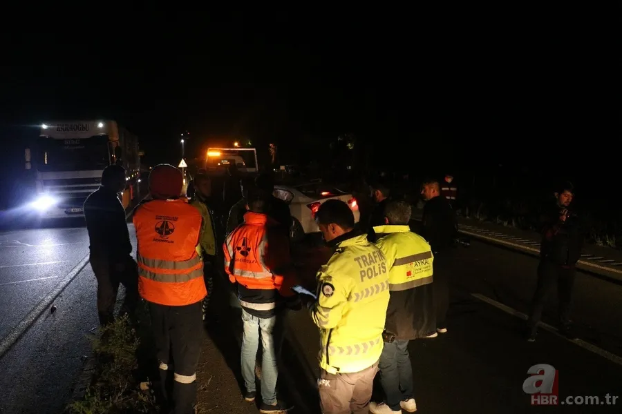 Bak şu domuzun yaptığına! 2 araç hurdaya döndü 6