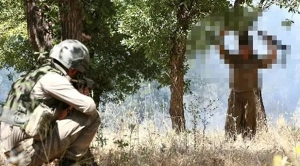 Devlet teröristlere elini uzattı: 'Gelin kardeş olalım' bildirisi her yere dağıtıldı - 1