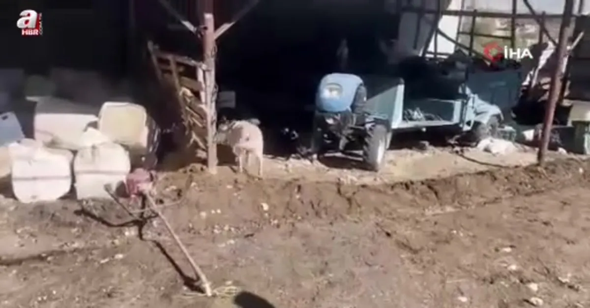 Uyuşturucu satıcılarına şafak operasyonu