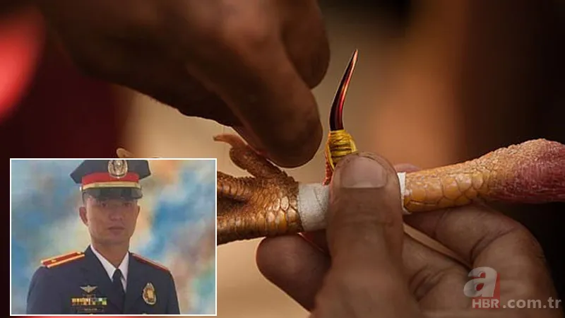 Son dakika: Baskına giden polisi horoz öldürdü! Akılalmaz olay... 1