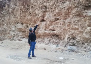 Mardin'de dinozor fosilleri bulundu