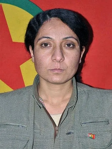 1606884404872.jpeg İHA buldu F-16 vurdu! Sözde komutan öldürüldü - 1