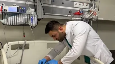 4,5 yaşındaki çocuğa başıboş köpek saldırdı