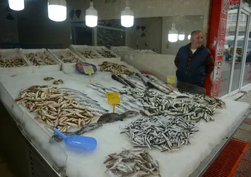 Balıkçılara 'hamsi' sürprizi