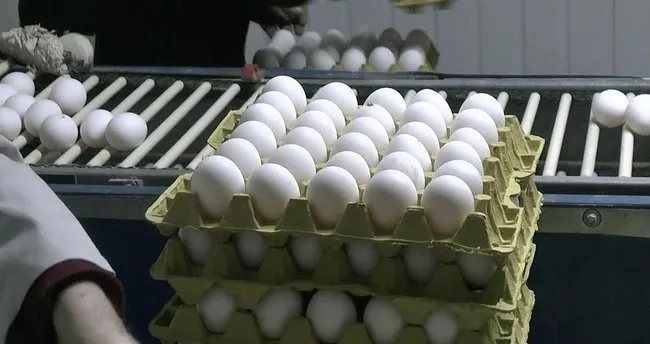 Pandemide yumurtaya talep yüzde 100 arttı