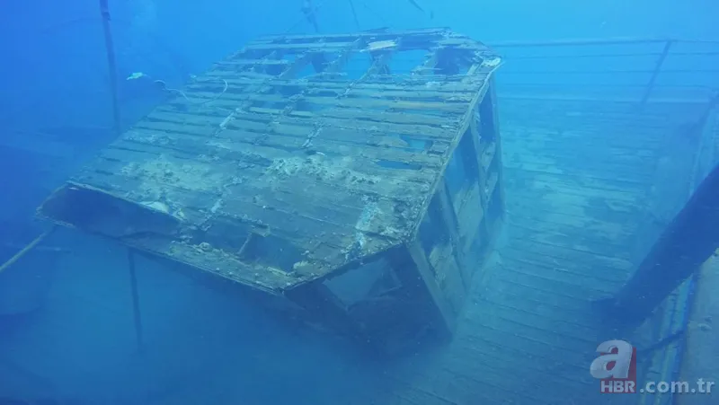 Van Gölü'nde yeni sırlar ortaya çıkıyor! 62 yıl sonra ilk kez görüntülendi 8