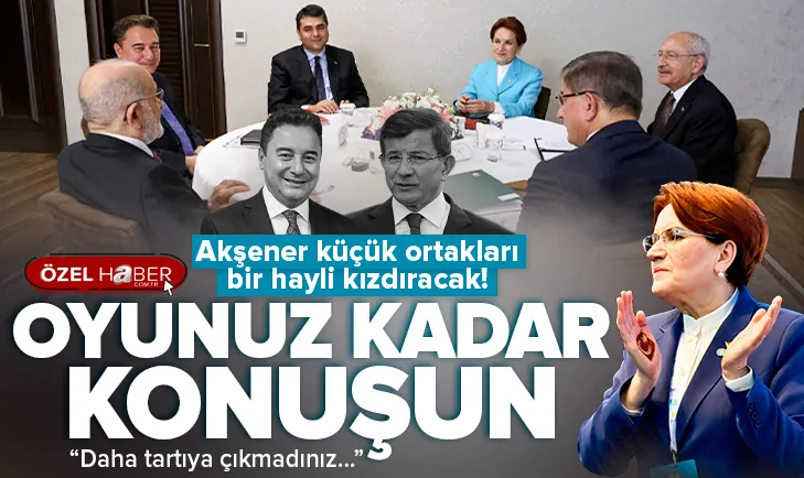 Akşener’den ’oyunuz kadar konuşun’ göndermesi
