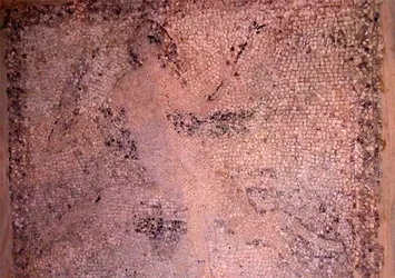Paha biçilemiyor! Suya konulunca birden üzerine belirdi