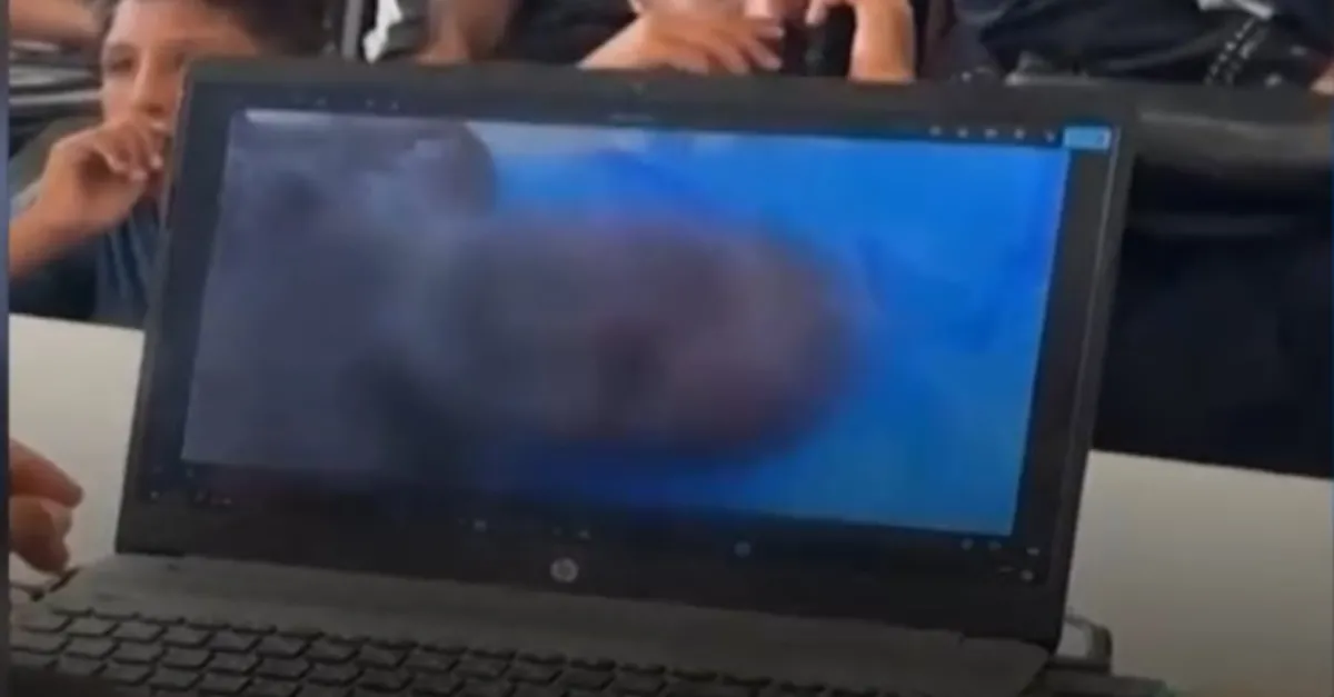 İsrail vahşetinin geldiği son nokta