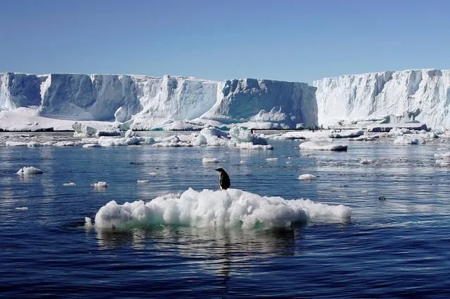 Antartika yarıldı, korkunç kırılma havadan görüntülendi