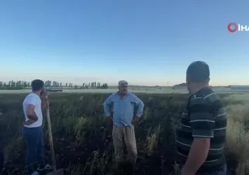 Adilcevaz'da tarlada çıkan yangın korkuttu