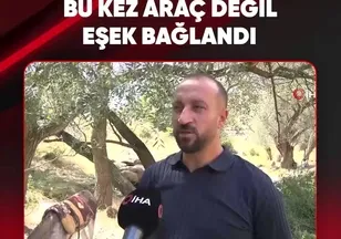BU KEZ ARAÇ DEĞİL EŞEK BAĞLANDI