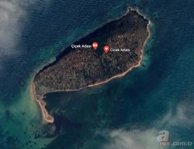 Hülya Avşar'ın hayali suya düştü! Çiçek Adası için rekor fiyat 6