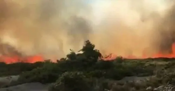 Son Dakika Cesme Alacati Da Orman Yangini A Haber En Son Haberler