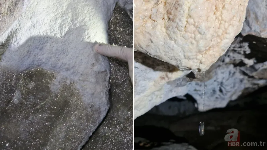 Dünyada sadece 2 yerde vardı: O ilimizde de bulundu! İlaç oalrak kullanılacak 1