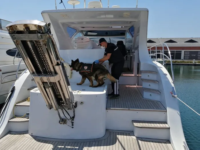 Son dakika: Kurban Bayramı öncesi Türkiye genelinde eş zamanlı dev uygulama