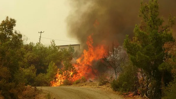 Lewis Hamilton'dan Türkiye paylaşımı! Dua ediyorum - 2