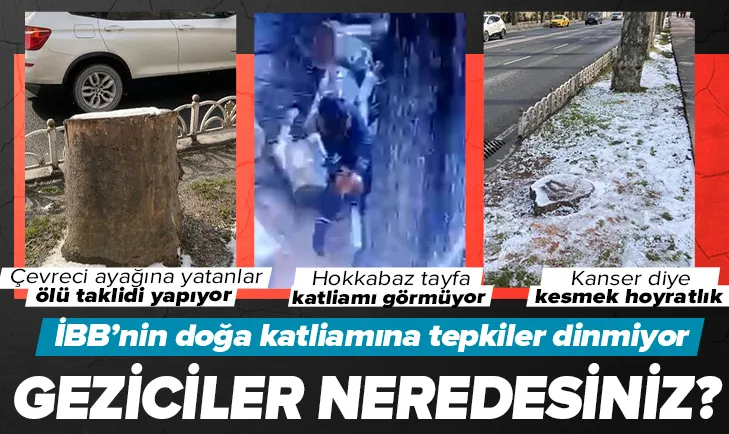 Geziciler neredesiniz?